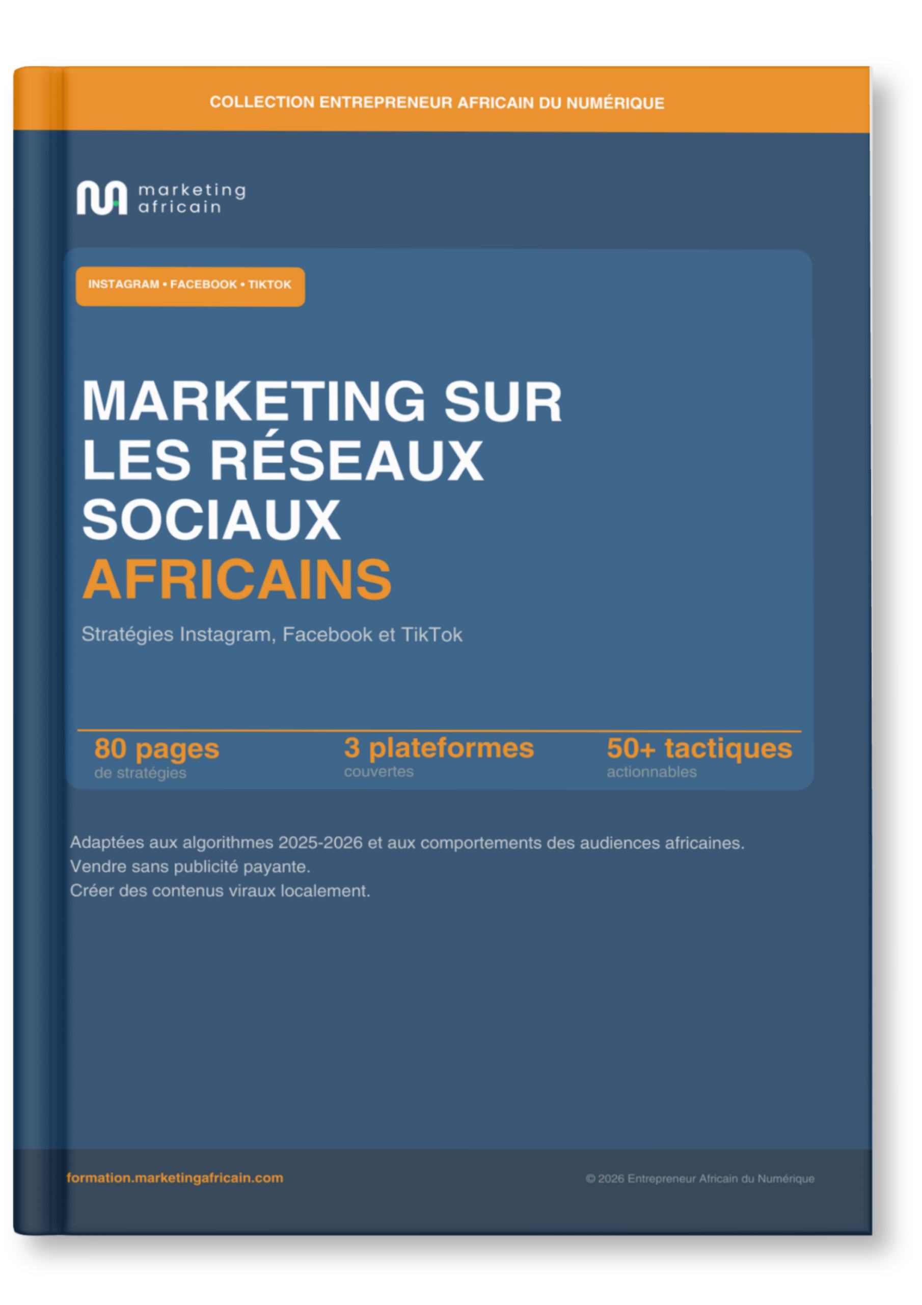 Guide sur le Marketing Africain